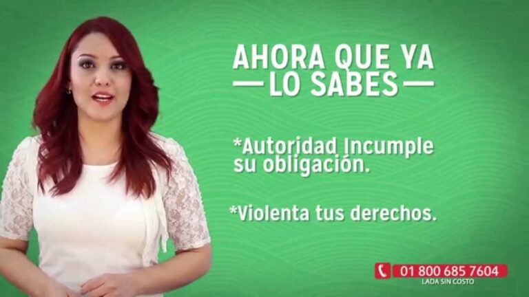 Intervenci&oacute;n Legal Efectiva en Violencia Familiar