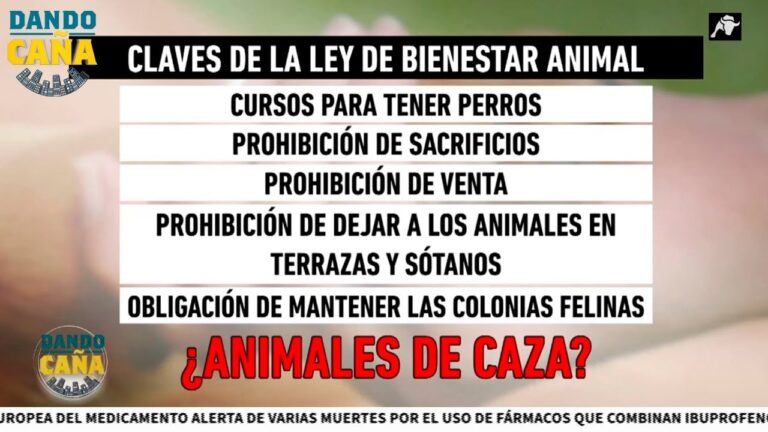 Protecci&oacute;n Animal en Sacrificios: Marco Legal Espa&ntilde;ol