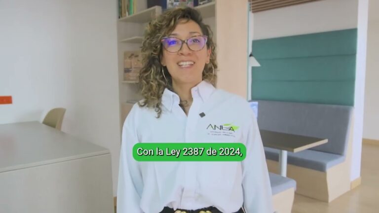 Sanciones por Infracciones en Proyectos de Rehabilitaci&oacute;n Urbana