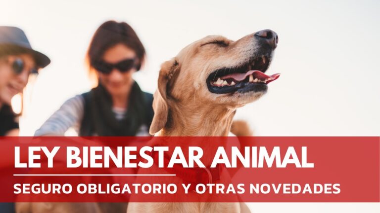 Esterilizaci&oacute;n: Requisito Legal en Espa&ntilde;a