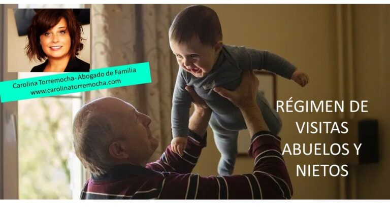 Derechos de Visitas en el &Aacute;mbito Familiar en Espa&ntilde;a
