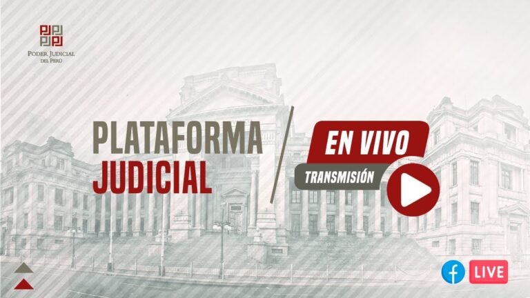 Reconocimiento de Paternidad en Espa&ntilde;a: Procedimiento Judicial Simplificado