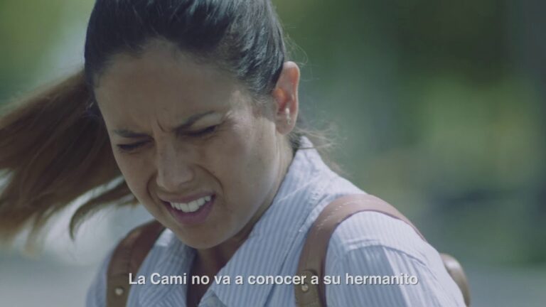 Cumplimiento de Normas Publicitarias en Espa&ntilde;a: Claves y Desaf&iacute;os