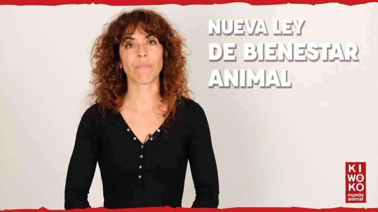 Derechos de los Animales y Adopci&oacute;n en Espa&ntilde;a: Un Llamado a la Conciencia