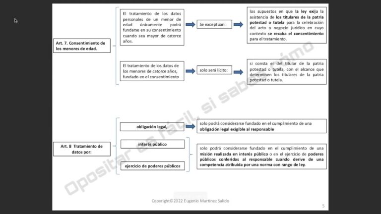 Confidencialidad de Datos en el Marco Legal Espa&ntilde;ol