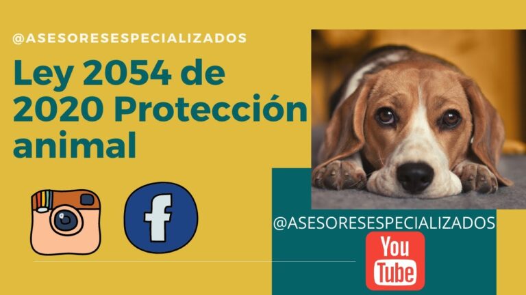 Marco Legal de la Tenencia de Animales en Espa&ntilde;a