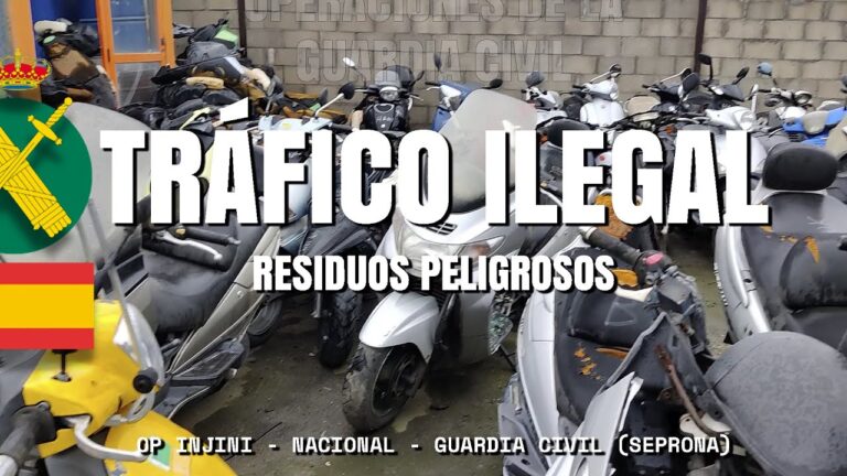 Consecuencias Legales del Crimen Organizado en Espa&ntilde;a