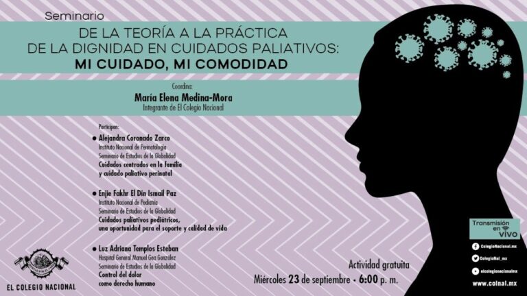 Protecci&oacute;n Legal de Pacientes en Cuidados Paliativos en Espa&ntilde;a