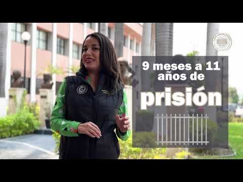 Impacto de las Sanciones por Maltrato Animal en la Sociedad