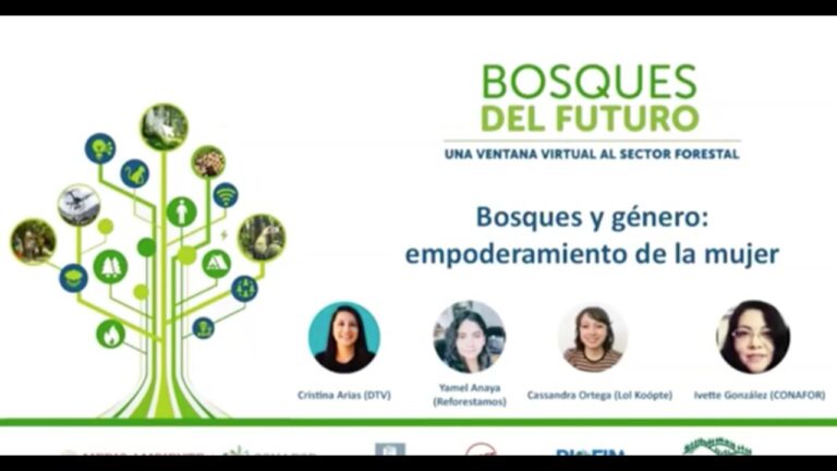 Empoderamiento Femenino en Refugios: Herramientas Clave