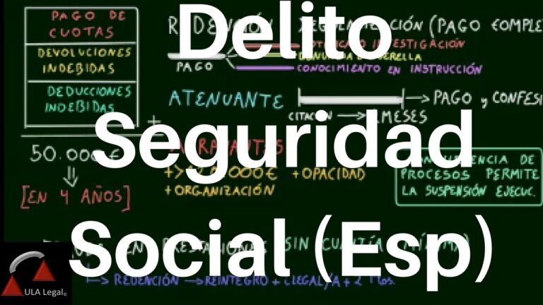 Responsabilidad Penal por Fraudes Fiscales en Espa&ntilde;a