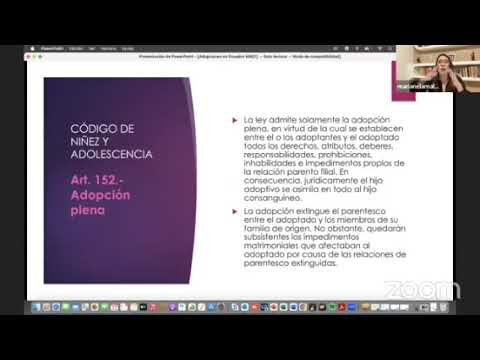 Protecci&oacute;n Jur&iacute;dica del Menor en Adopci&oacute;n