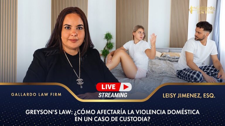 Medidas de Custodia de Menores en Violencia Dom&eacute;stica en Espa&ntilde;a