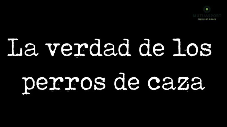Protecci&oacute;n y Rescate de Animales bajo la Ley Espa&ntilde;ola