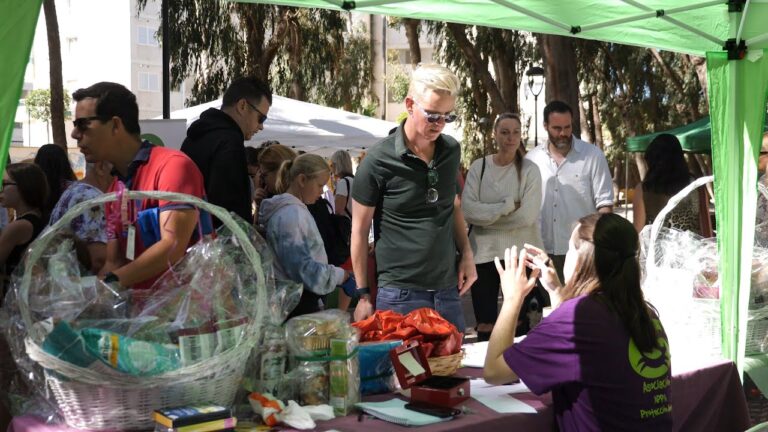 Solidaridad con Asociaciones de Protecci&oacute;n Animal en Espa&ntilde;a