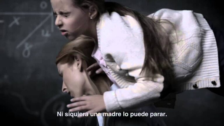 Impacto de las Campañas de Concienciación sobre el Cinturón de Seguridad