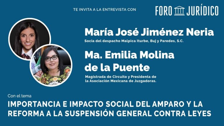 Impacto de la Ley de Protecci&oacute;n Social en la Sociedad