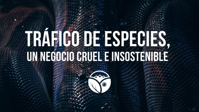 Protecci&oacute;n Legal de Especies Amenazadas en Espa&ntilde;a