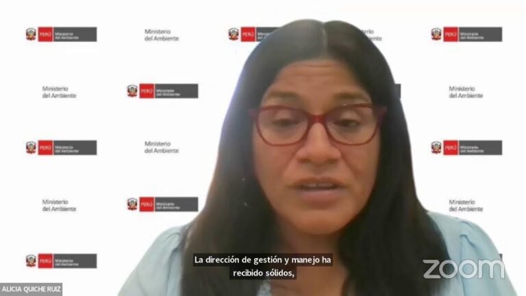 Cumplimiento de Normativas de Emisiones en la Industria