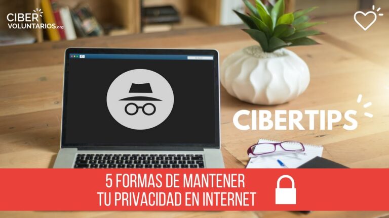 Ciberseguridad: Salvaguardando tu Privacidad en Redes Sociales Espa&ntilde;olas