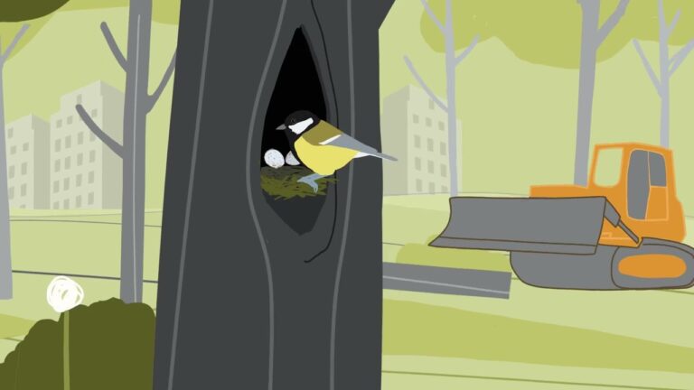 Estrategias de Protección Medioambiental en Parques y Jardines Urbanos