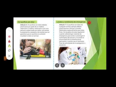 Regulaciones Efectivas para la Protecci&oacute;n Animal en Centros de Rescate