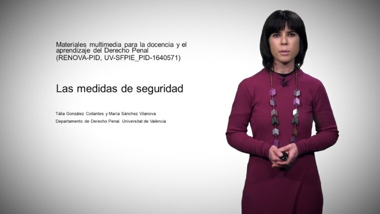 Impacto del Derecho Penal en la Reinserci&oacute;n Social en Espa&ntilde;a