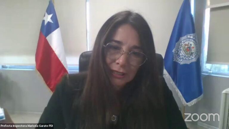 Leyes Efectivas Contra Delitos Inform&aacute;ticos en el Pa&iacute;s