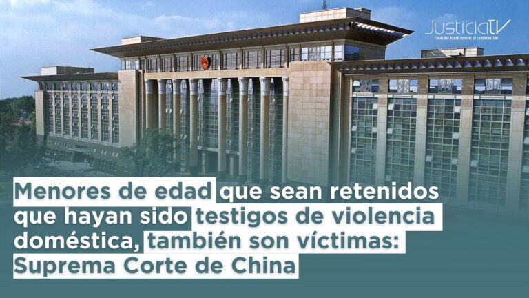 Impacto de la Violencia Dom&eacute;stica en la Custodia de Menores