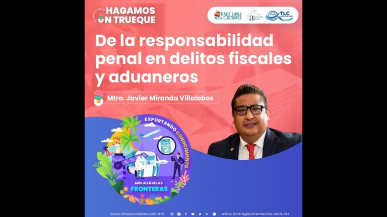 Responsabilidad por Delitos Fiscales en el Pa&iacute;s