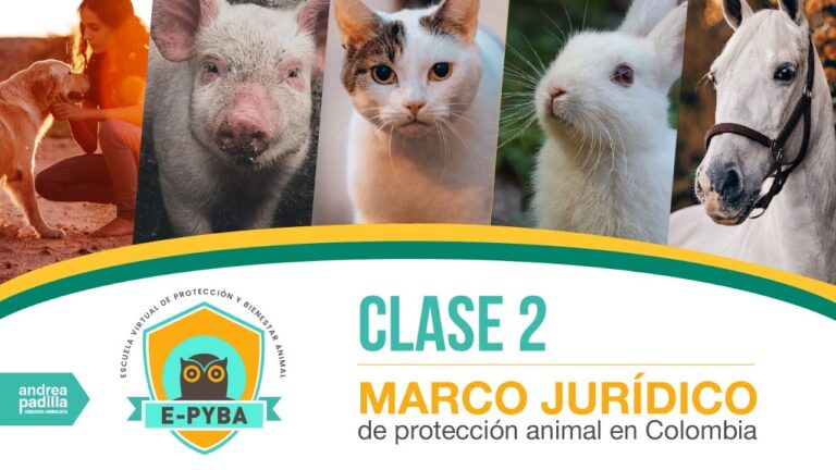La Ley de Protecci&oacute;n Animal y su Impacto en el Bienestar Animal