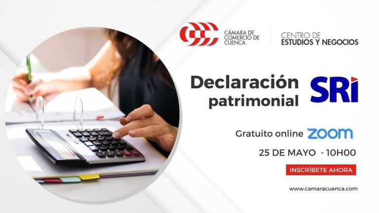 Optimizaci&oacute;n de Declaraciones Patrimoniales: Claves de la Consultor&iacute;a Fiscal