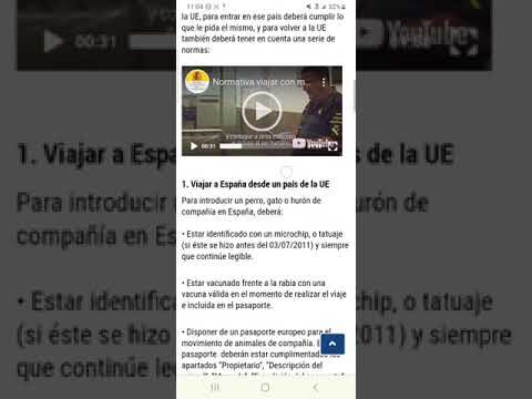Normativa Espa&ntilde;ola sobre Vacunaci&oacute;n de Mascotas: Claves y Recomendaciones