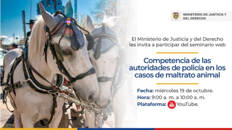 Protecci&oacute;n Animal en Espa&ntilde;a: El Impacto de las Inspecciones