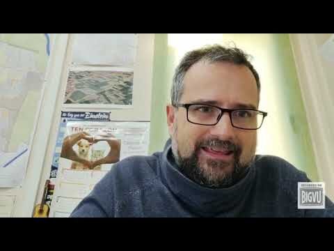 Adopciones: Una Soluci&oacute;n de Protecci&oacute;n Animal en Espa&ntilde;a