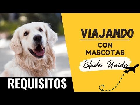 Regulaciones de Vacunaci&oacute;n Animal en Espa&ntilde;a