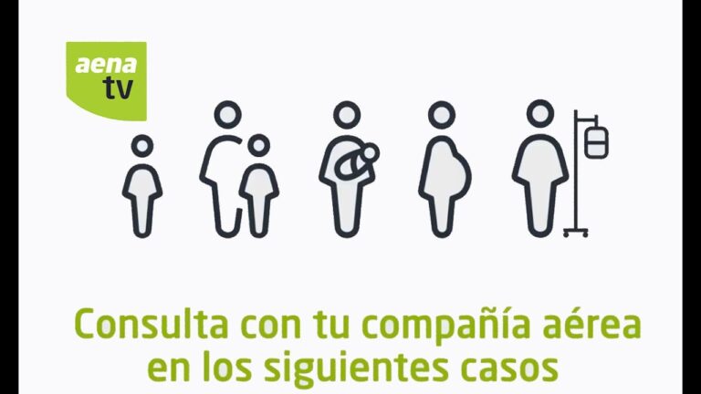 Asistencia a Pasajeros con Necesidades Especiales en Espa&ntilde;a: Mejores Pr&aacute;cticas y Recursos