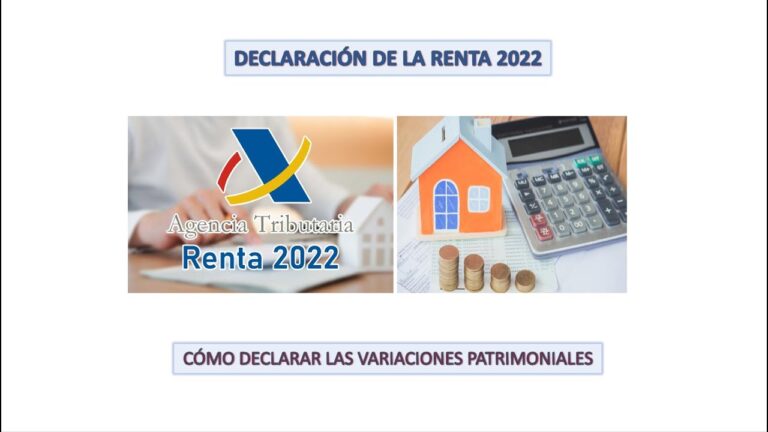 Gu&iacute;a de Pautas Legales para la Declaraci&oacute;n Conjunta en Espa&ntilde;a