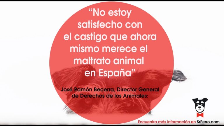 Sanciones por Maltrato Animal en Espa&ntilde;a: Un An&aacute;lisis Esencial