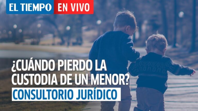 Bienestar del Menor en Custodia: Claves y Consideraciones